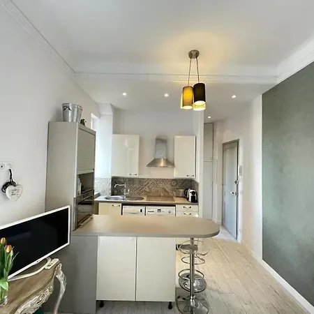 Apartman De Luxe Dans Le Centre D'antibes